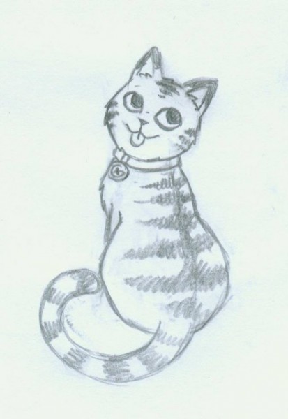 Sketch of the Caching Kitten Geocoin